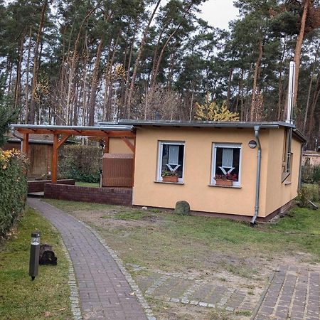 Spreewaldhaeuser Golinski Mit Kamin Am Neuendorfer See Alt Schadow Экстерьер фото