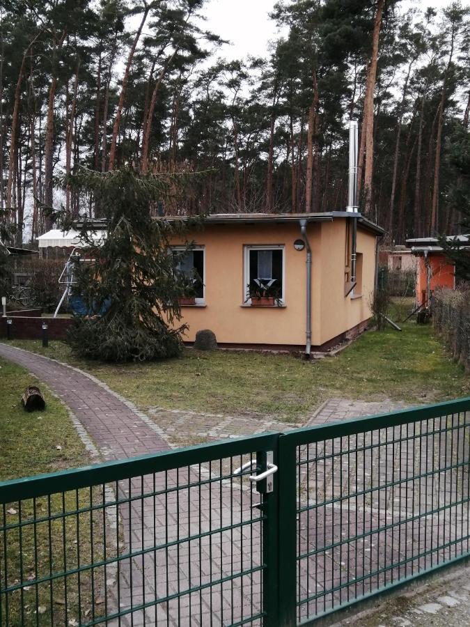 Spreewaldhaeuser Golinski Mit Kamin Am Neuendorfer See Alt Schadow Экстерьер фото